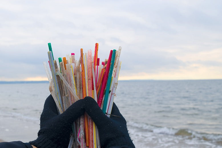 Attention, Shoppers: Get Ready for NJ’s Plastic-Bag Ban