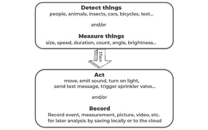 Vizy, an AI Camera for the Pi