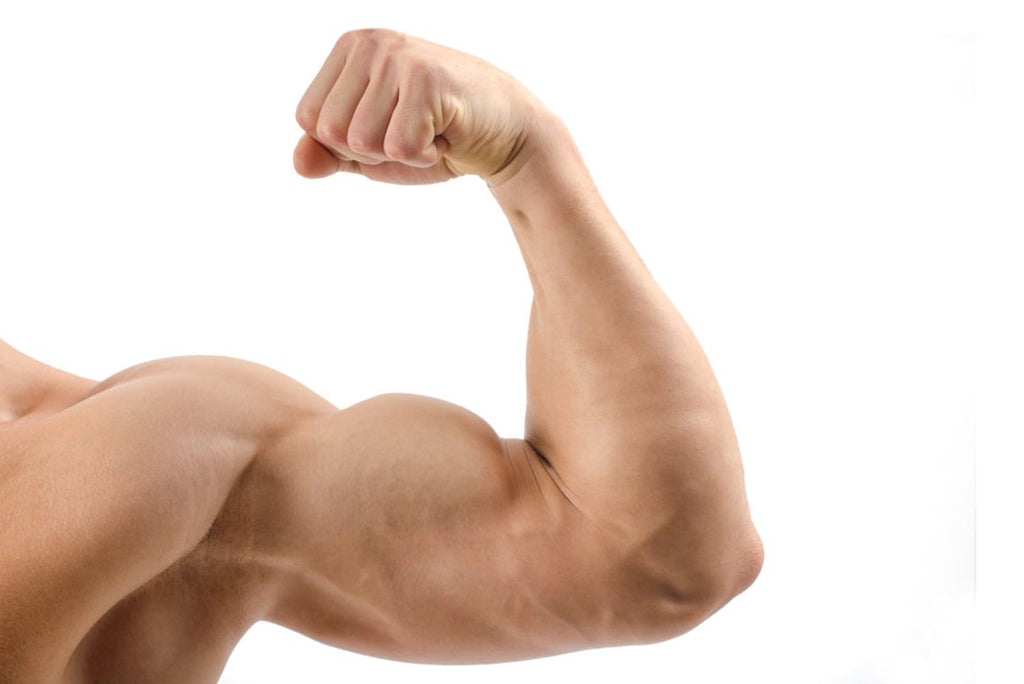 Try These Exercises To Maintain Your Biceps Without Weights