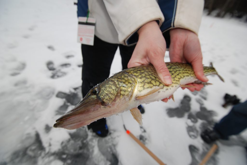 Ice Fishing Basics