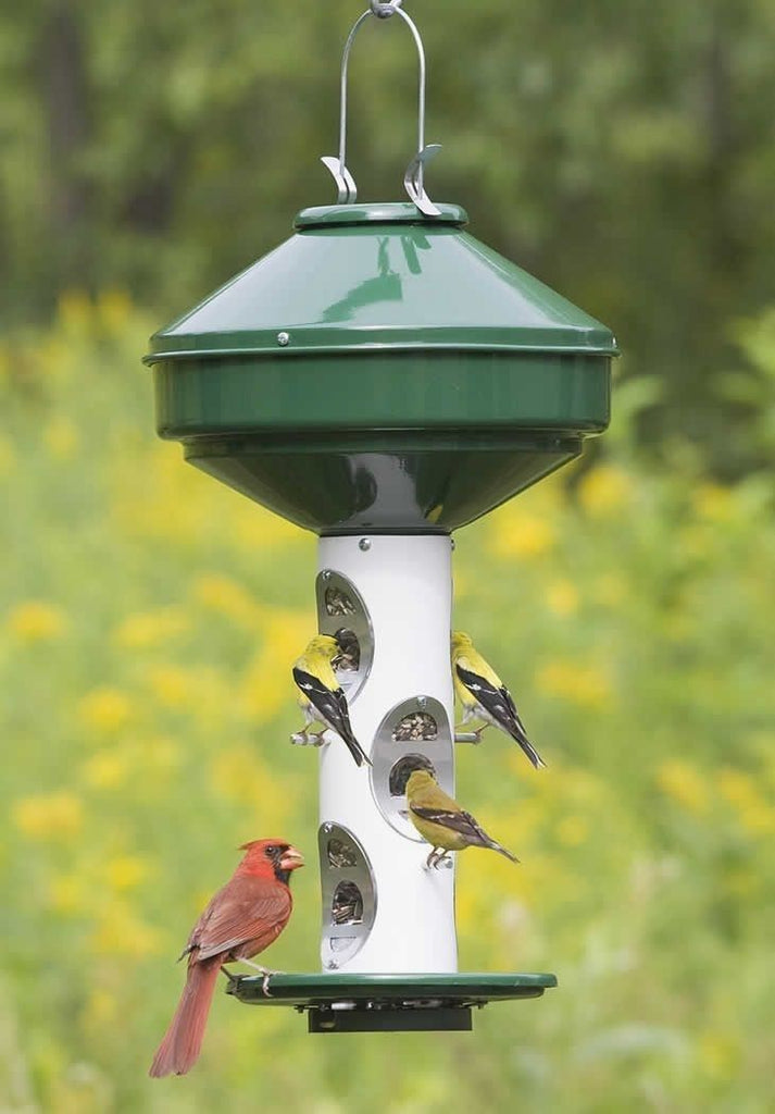 Inspiring Anti Squirrel Bird Feeder