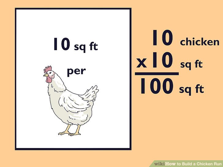 How to Build a Chicken Run